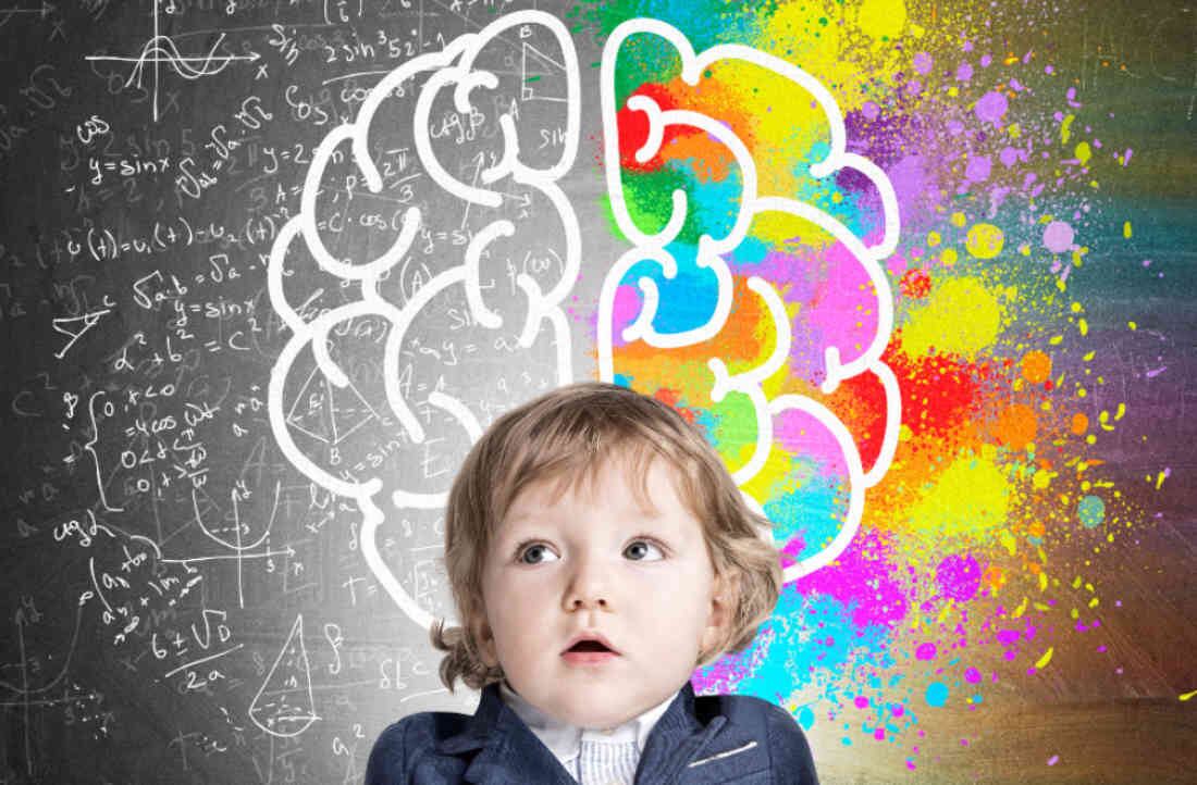 El neurodesarrollo de un niño se refiere al desarrollo neurológico, es decir, el desarrollo cerebral y a la vez, a la formación de su personalidad.