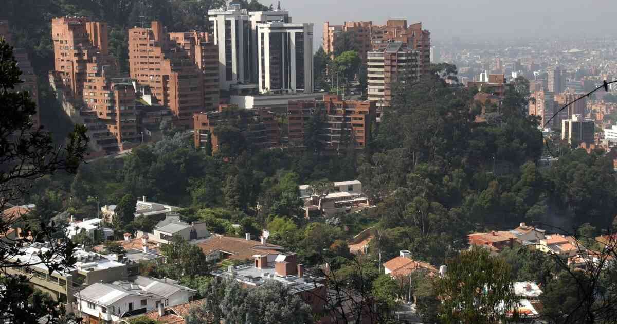 Los bosques de las ciudades son ecosistemas que eliminan la contaminación, proporcionan beneficios para la salud y están asociados con la reducción de los delitos y la obesidad infantil. Foto: Guillermo Torres/Semana