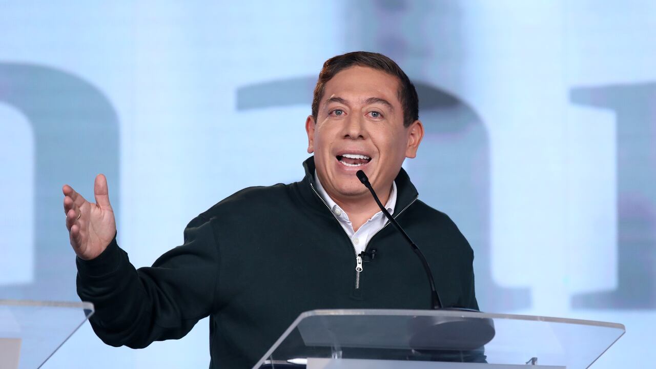 Carlos Amaya fue elegido copresidente del Partido Verde.