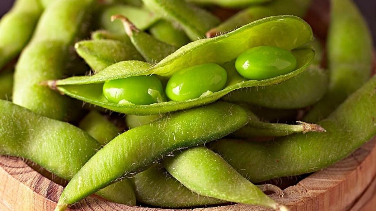 Este alimento es famoso en oriente, pero desconocido en occidente. Sin embargo, tiene grandes beneficios.