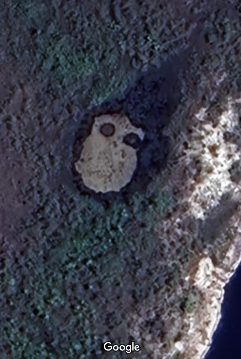 Las imágenes han generado distintas reacciones sobre el 'cadavérico' hallazgo