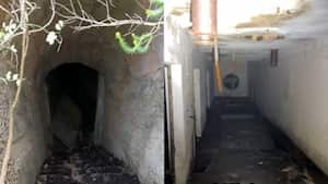 El video no tardó en hacerse viral a través de TikTok.