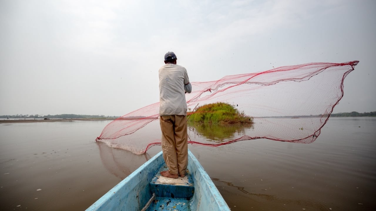 Pesca en el río Magdalena