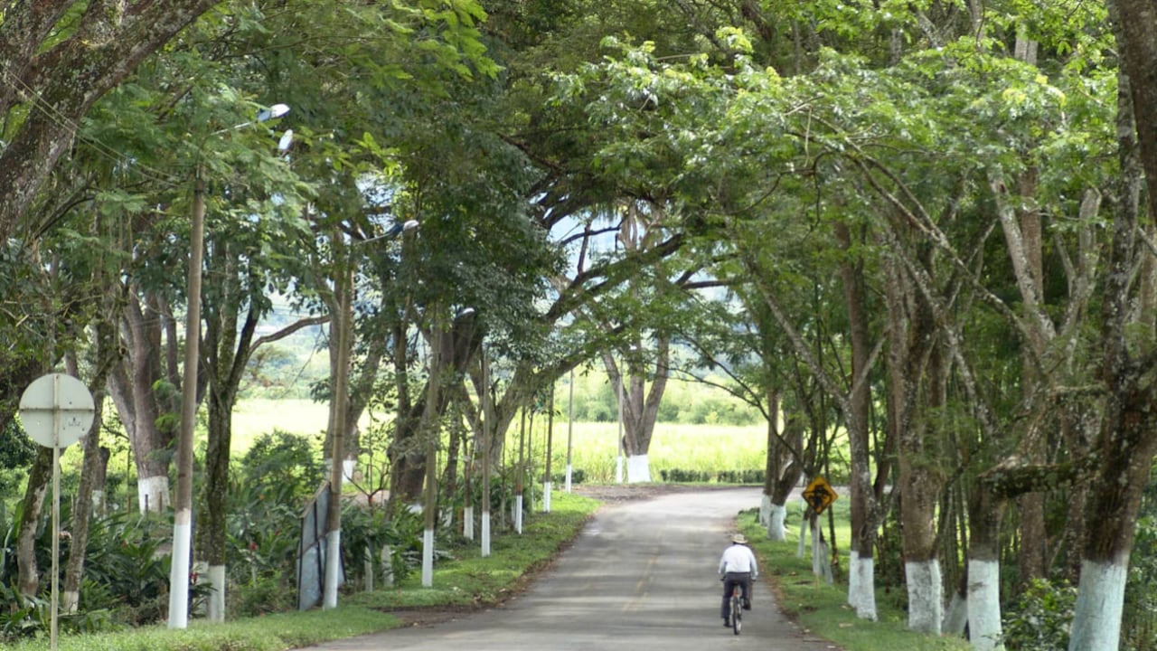 Este es uno de los municipios cafeteros del departamento de Caldas