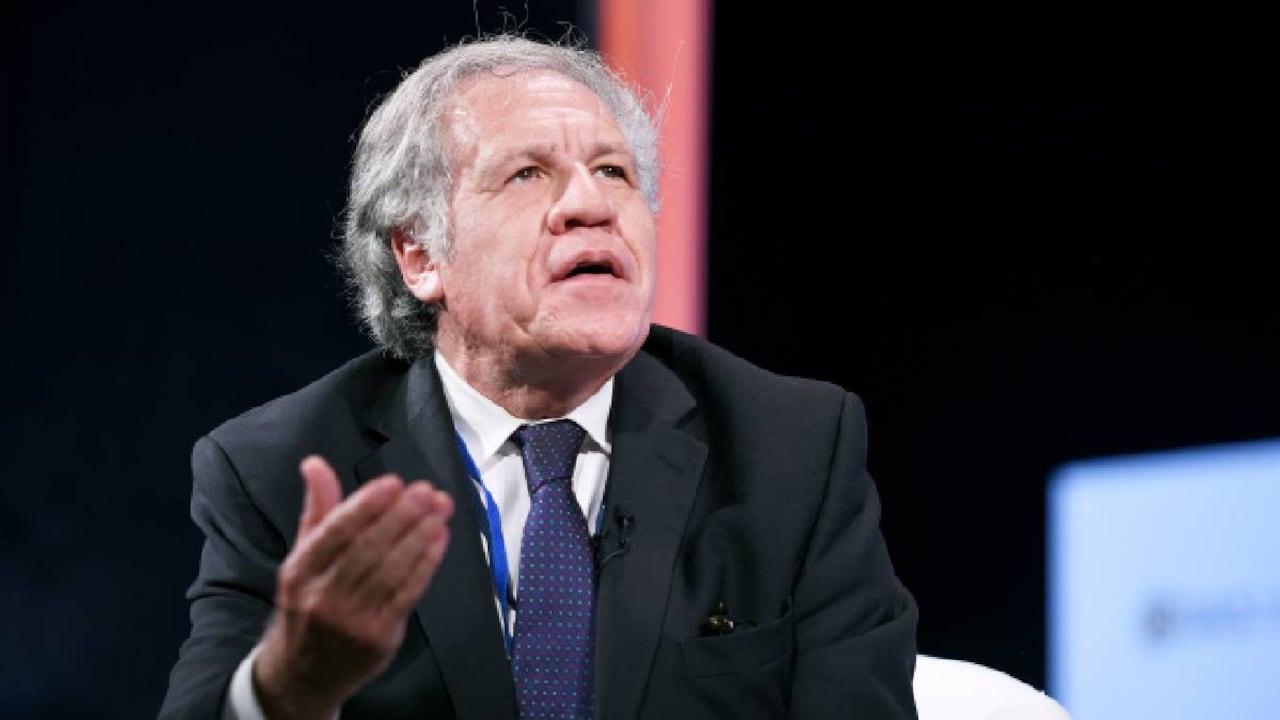 En noviembre de 2022, el Consejo Permanente, órgano ejecutivo de la Organización de los Estados Americanos pidió que una compañía externa investigara si Almagro había violado el código ético, al mantener una relación sentimental con una empleada.