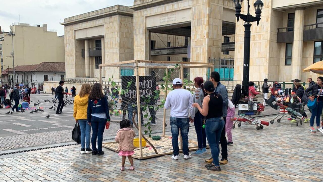 La CAR construyó una jaula gigante que ubicó en lugares públicos de Bogotá para conocer la reacción de las personas.