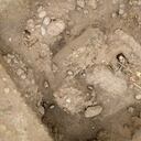 Los restos encontrados pertenecerían a un cementerio de la época de la colonia. (Photo by Cris BOURONCLE / AFP)
