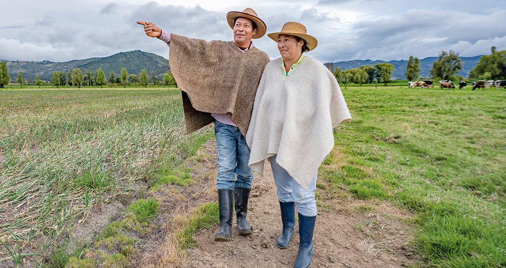 El Grupo Bicentenario deberá coordinar a las entidades financieras públicas para que puedan atender las necesidades de crédito de la economía popular.