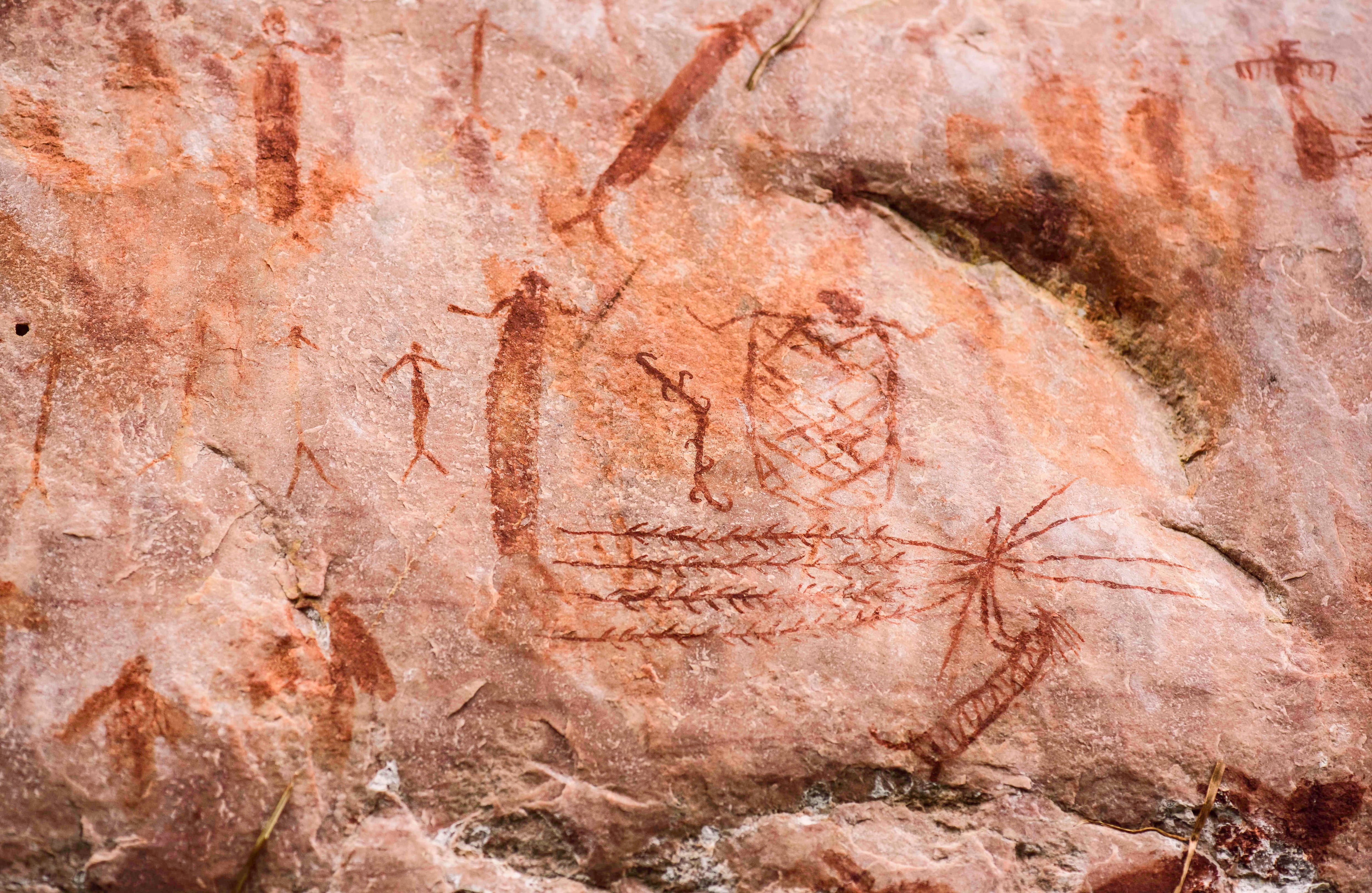 Resguarda medio centenar de sitios pictóricos con no menos de 70.000 pictogramas, de unos 20.000 años de antigüedad. Foto Parques Nacionales Naturales