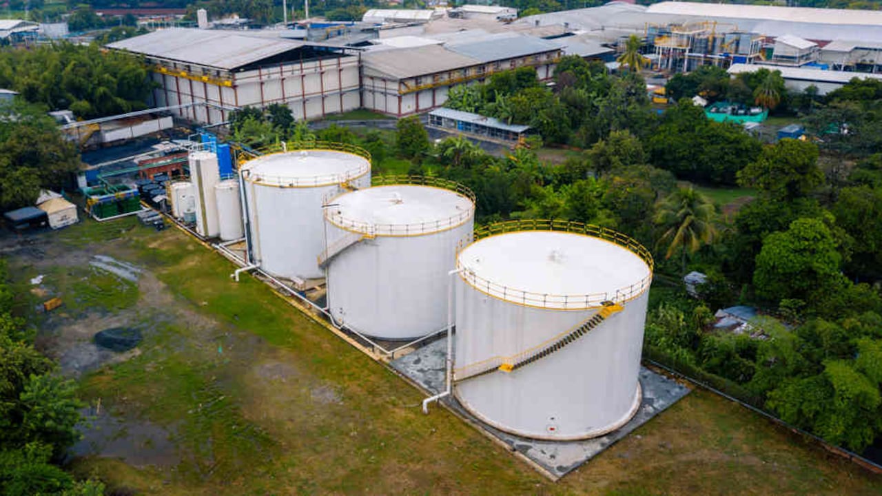 Cargill genera 8.000 empleos directos en Colombia y es el segundo jugador más importante del mercado de pollo en el país, con un 15 por ciento de participación en este sector.