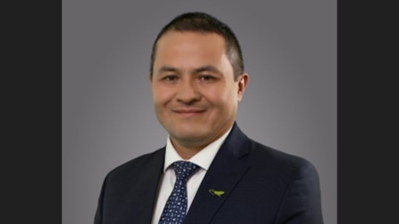 David Riaño Alarcón