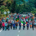 Foto: Tatiana Ramírez. ONIC. La Delfina, vía Cali/Buenaventura