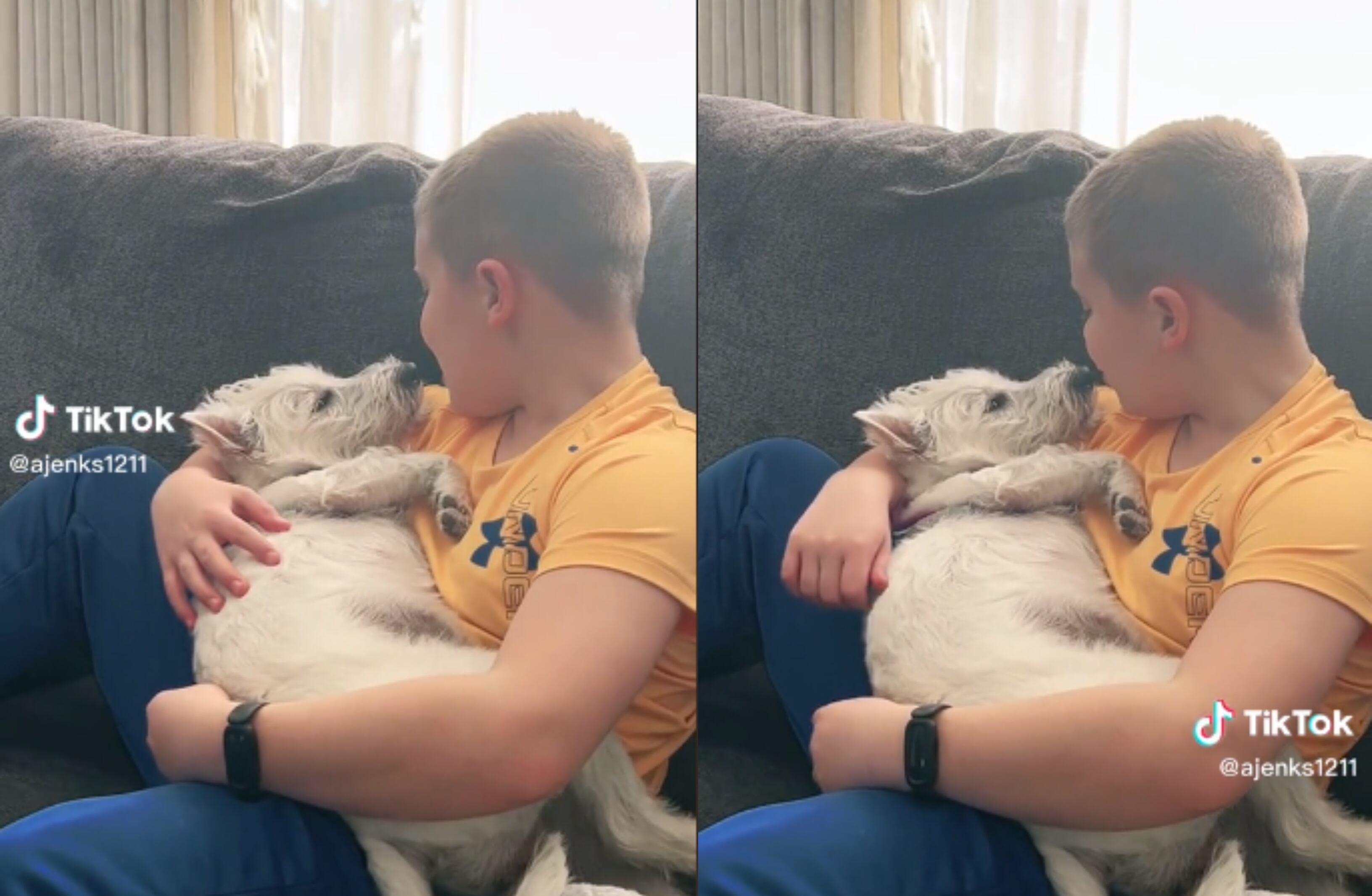 El video del menor cantando 'A Sky Full of Stars' a su perrita se hizo viral en TikTok.