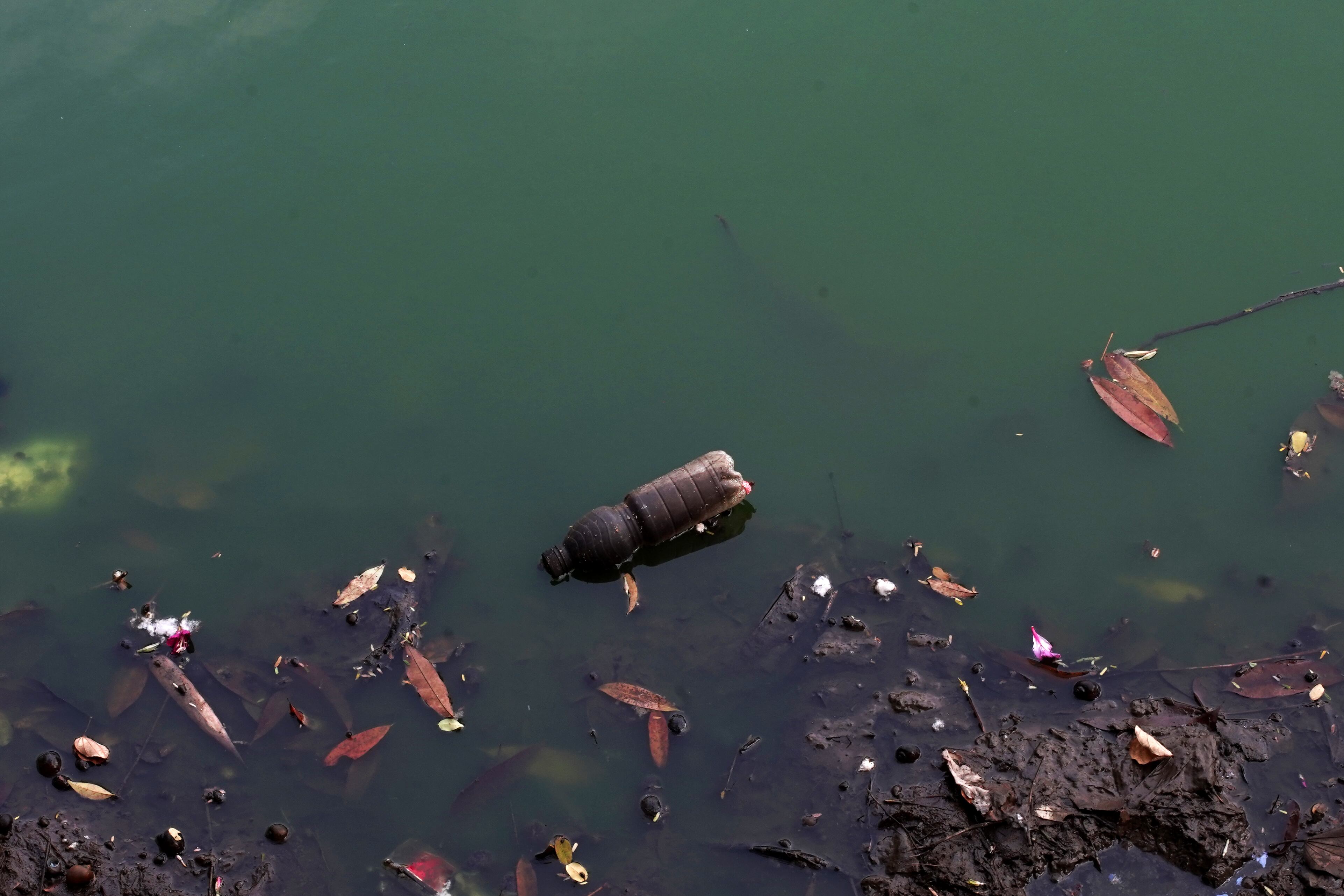 Un análisis europeo detectó altos niveles de nanoplásticos en zonas clave del océano Atlántico.