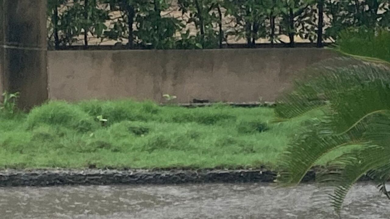 Inundaciones en Cartagena