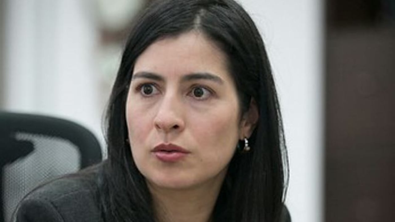 Carolina Soto decidió marginarse de la designación que hizo la CCI para que presidiera el gremio.