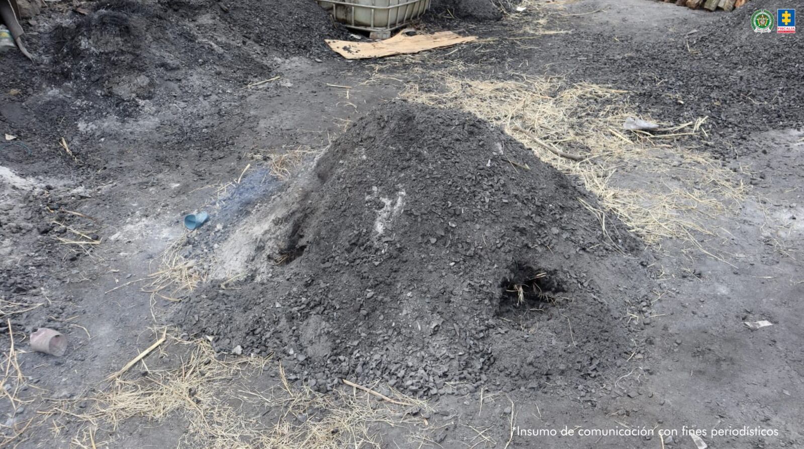 Producción de carbón vegetal ilegal en Cali