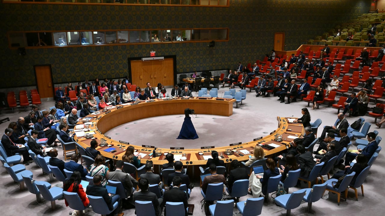 Consejo de Seguridad de la ONU.