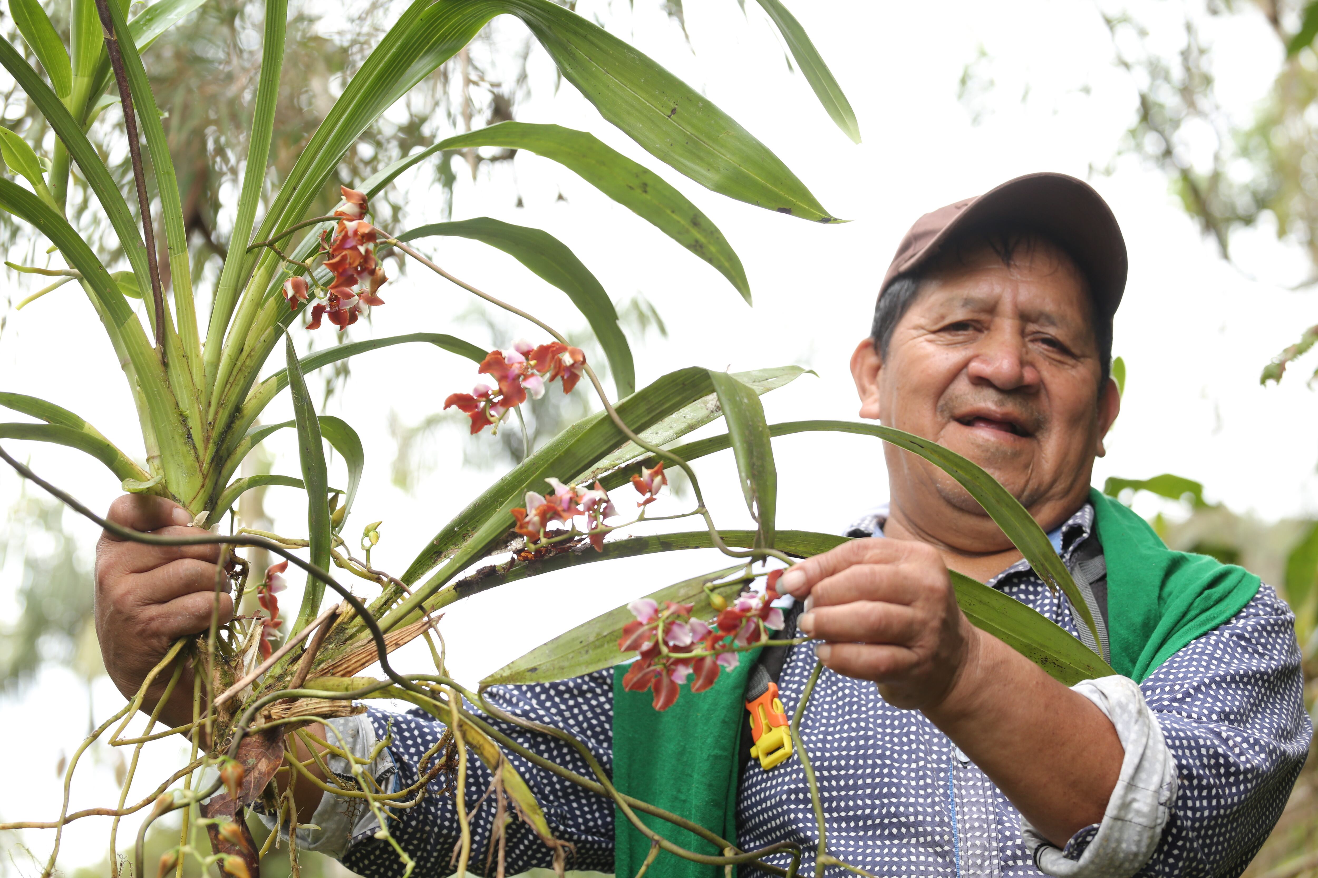 El programa también promueve la conservación de las diversas especies de flora y fauna que habitan en la zona.