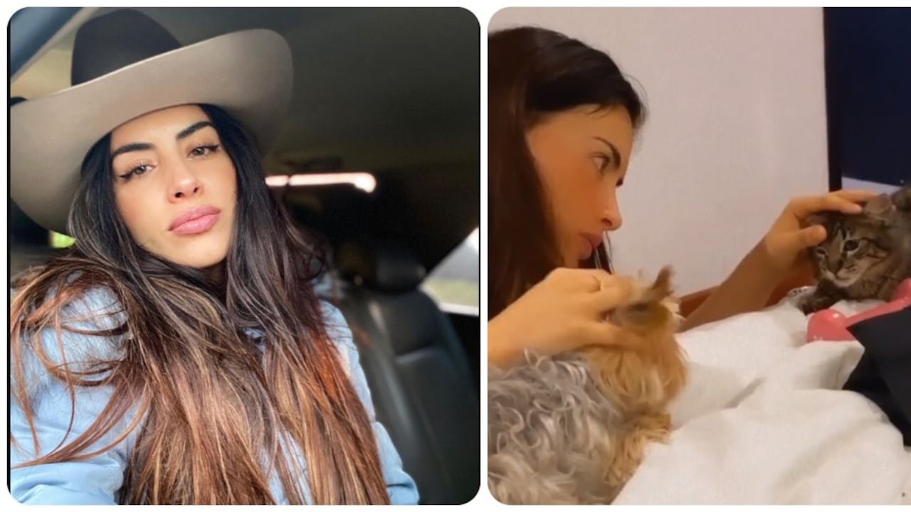Gato de Jessica Cediel tiene Covid