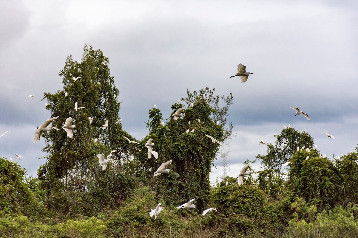 Humedales de Bogotá