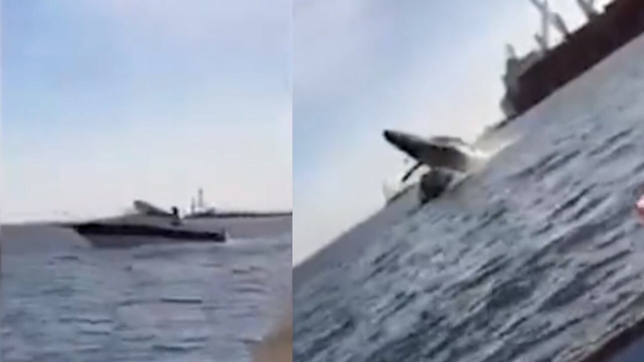 Una ballena emergió de las profundidades, saltó del agua y cayó sobre un pequeño bote en México.