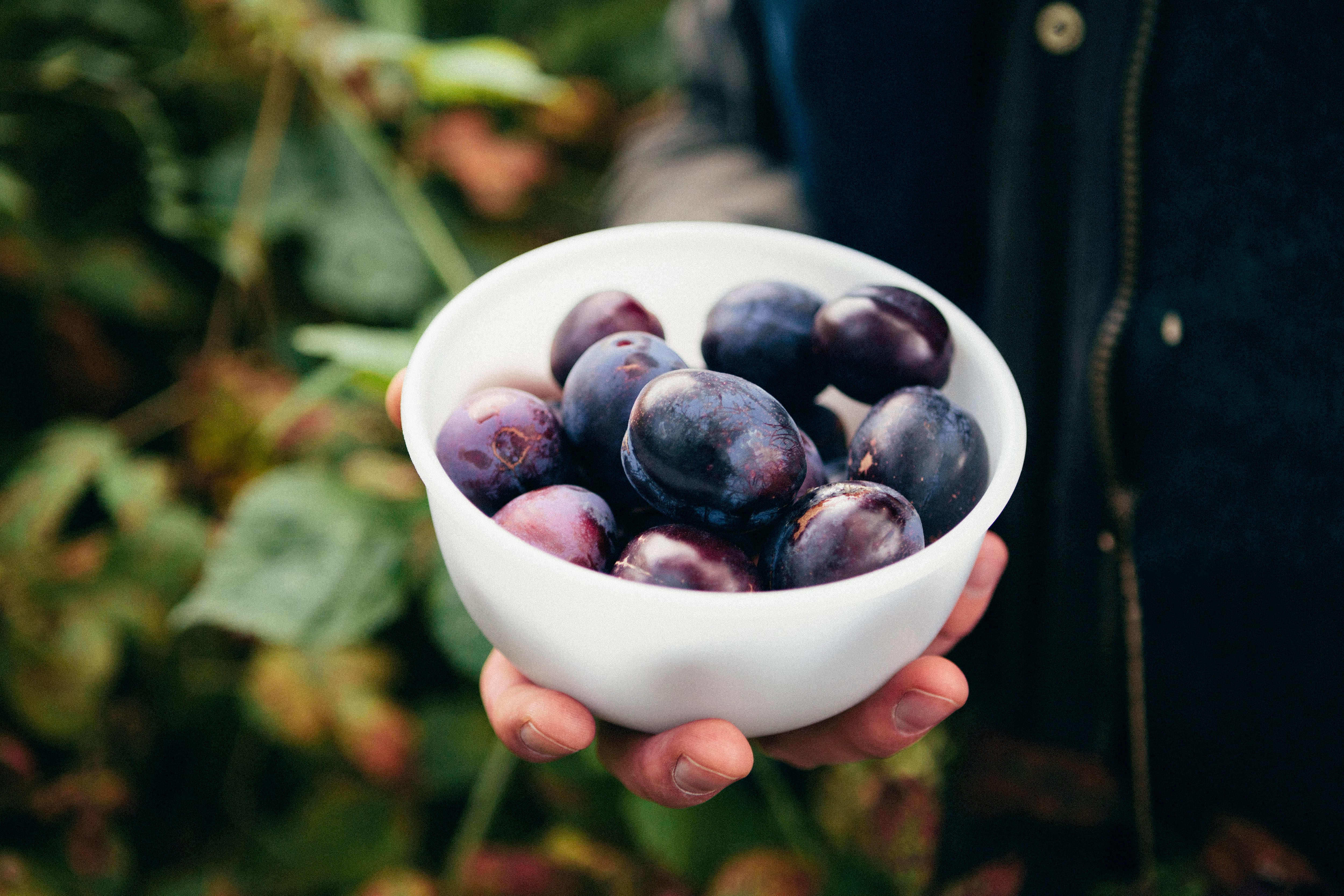 La ciruela es un alimento con vitaminas y minerales buenos para los huesos.