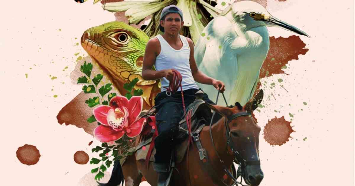 El libro es una guía practica para narrar de forma rigurosa los temas socioambientales.