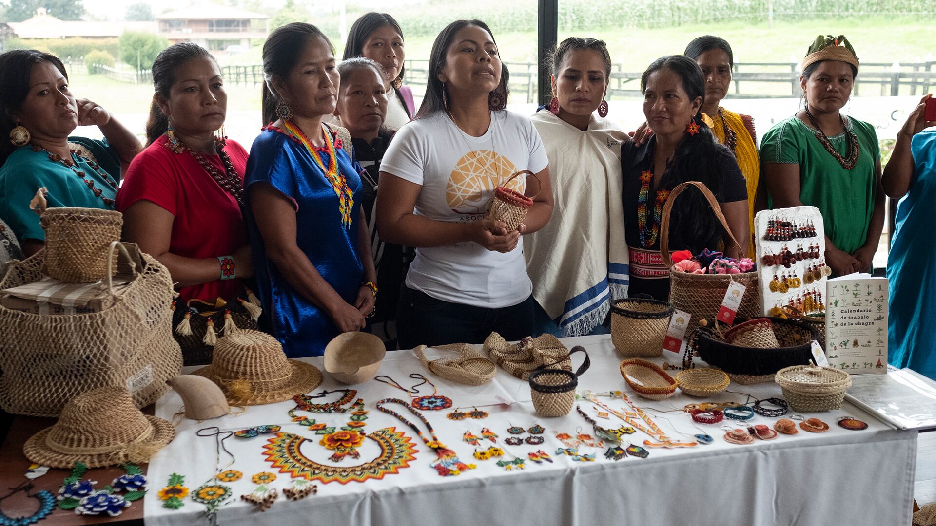 NO USAR,USO EXCLUSIVO MEJOR COLOMBIA, Especial Minambiente, Restauración