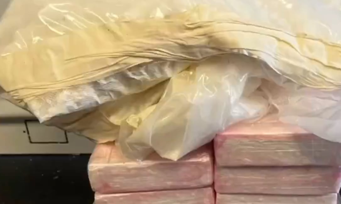 Cocaína incautada.