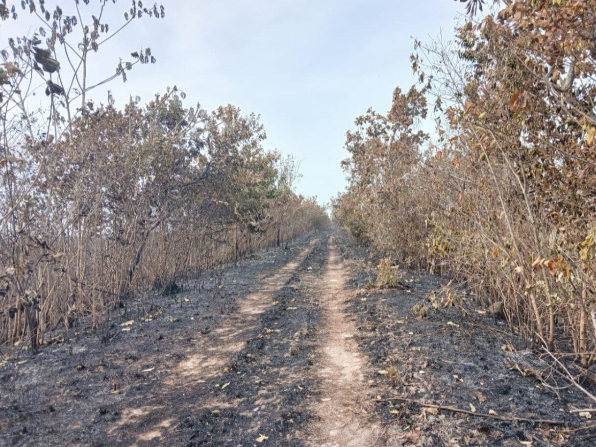 Incendio en el Bioparque Wisirare