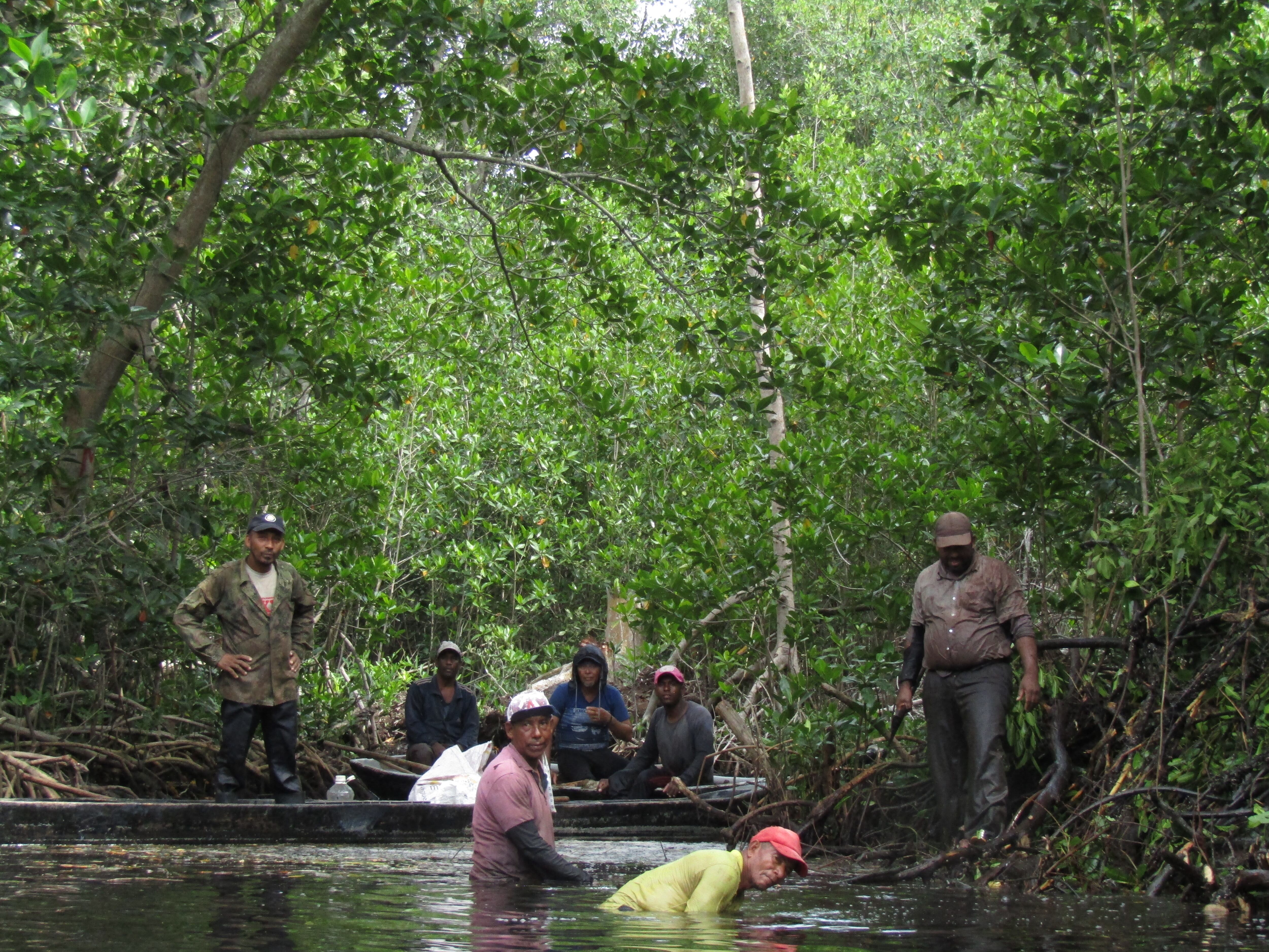 En Córdoba la comunidad se ha organizado para conservar los manglares y hacer un uso responsable de sus recursos.
