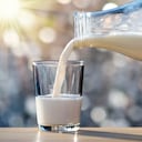 La leche es un alimento que está compuesto de grasa.