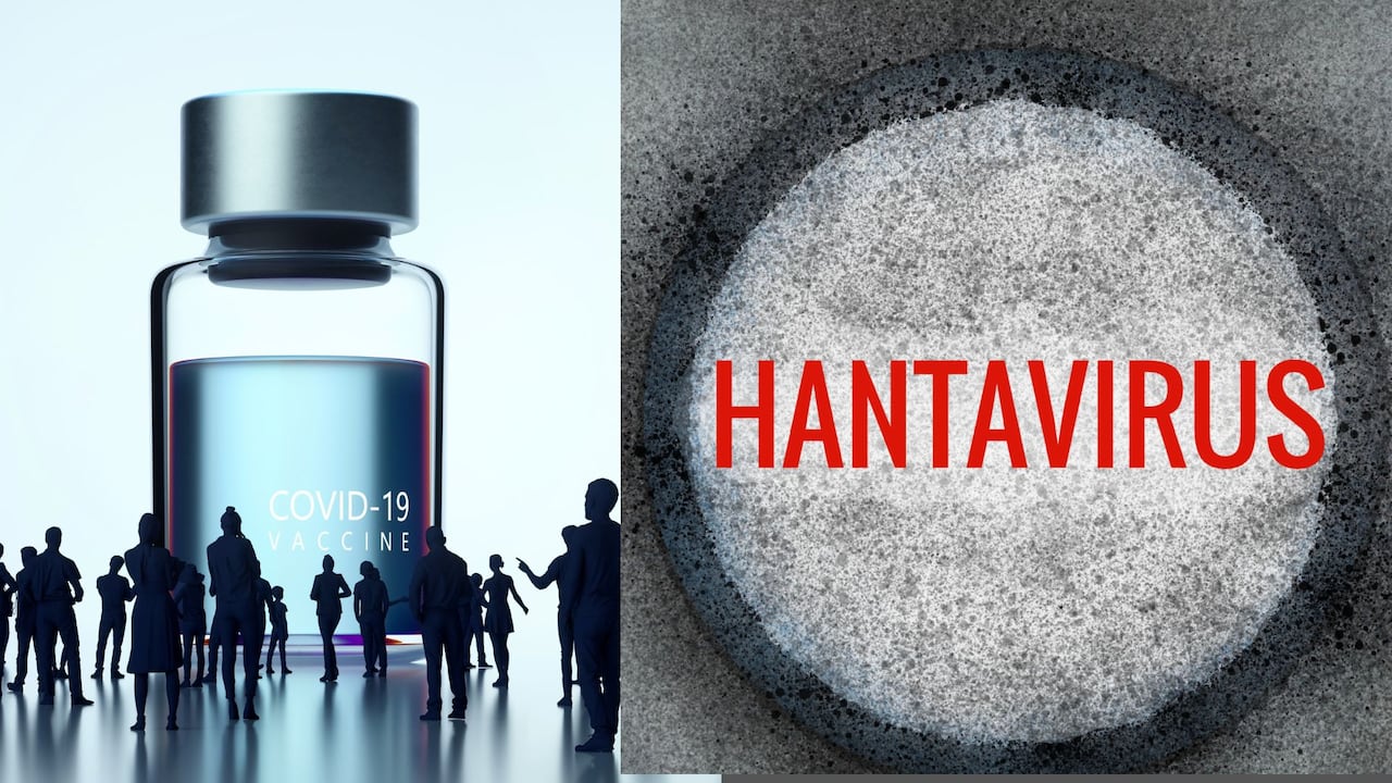 El hantavirus genera preocupación por su alta letalidad, pero expertos como Juan José Badiola advierten que su baja capacidad de transmisión lo diferencia claramente del covid-19