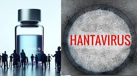 El hantavirus genera preocupación por su alta letalidad, pero expertos como Juan José Badiola advierten que su baja capacidad de transmisión lo diferencia claramente del covid-19