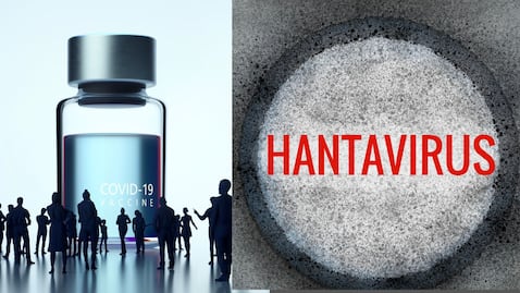El hantavirus genera preocupación por su alta letalidad, pero expertos como Juan José Badiola advierten que su baja capacidad de transmisión lo diferencia claramente del covid-19
