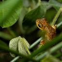 La protección de la biodiversidad es clave y la red de ecoreservas ayudará a cumplir con este objetivo.