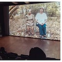 La cuarta edición del Festival de Cine Ambiental de Cali (FinCali) ha contado con una alta asistencia de público a los distintos eventos.