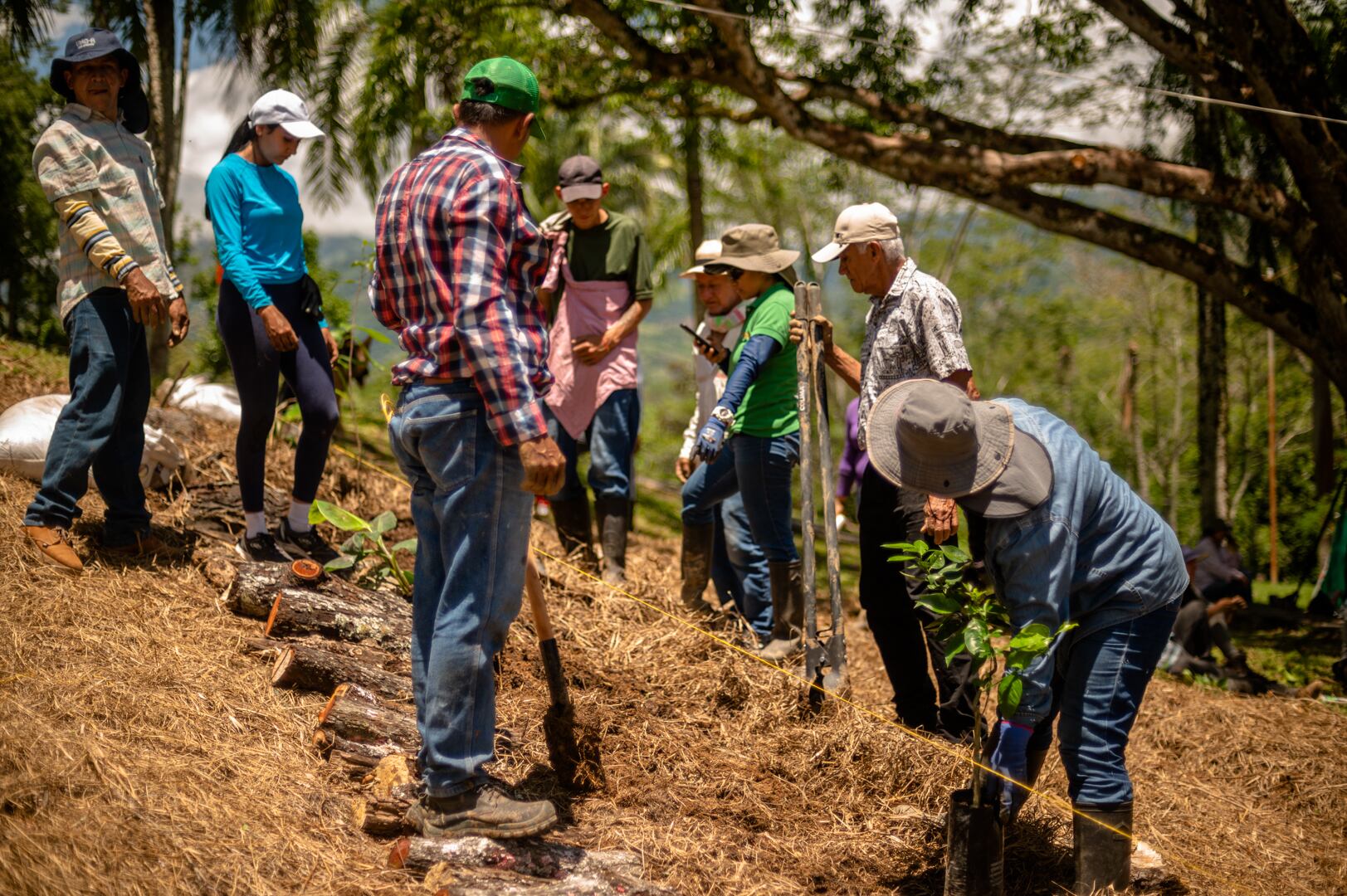 Cien familias de la región participan en procesos formativos en torno a la producción agroecológica.