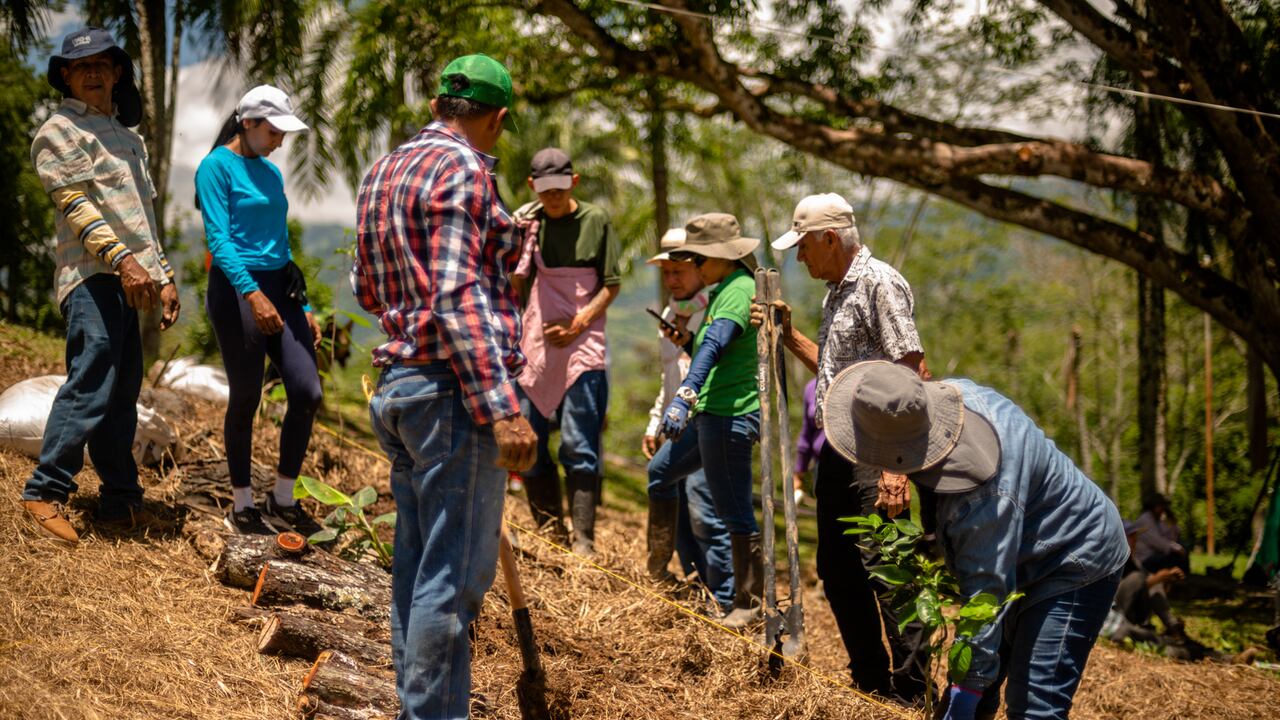 Cien familias de la región participan en procesos formativos en torno a la producción agroecológica.