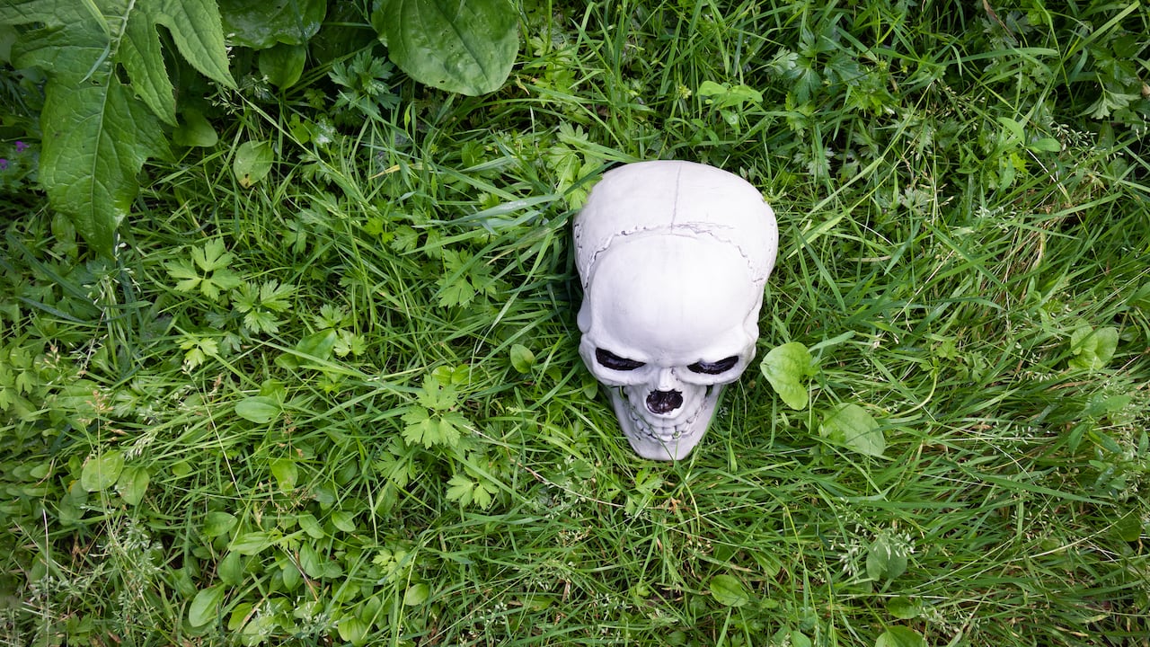 Hierbas / Muerte