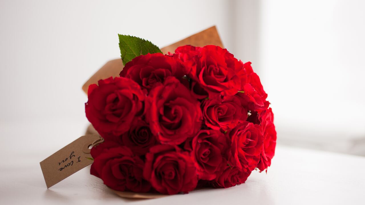 Una buena idea de regalo son las rosas rojas.