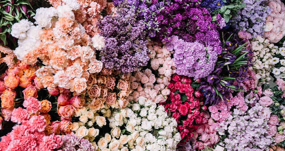 El año pasado 327 contenedores con 2.810 toneladas de flores se exportaron desde el Puerto de Cartagena.