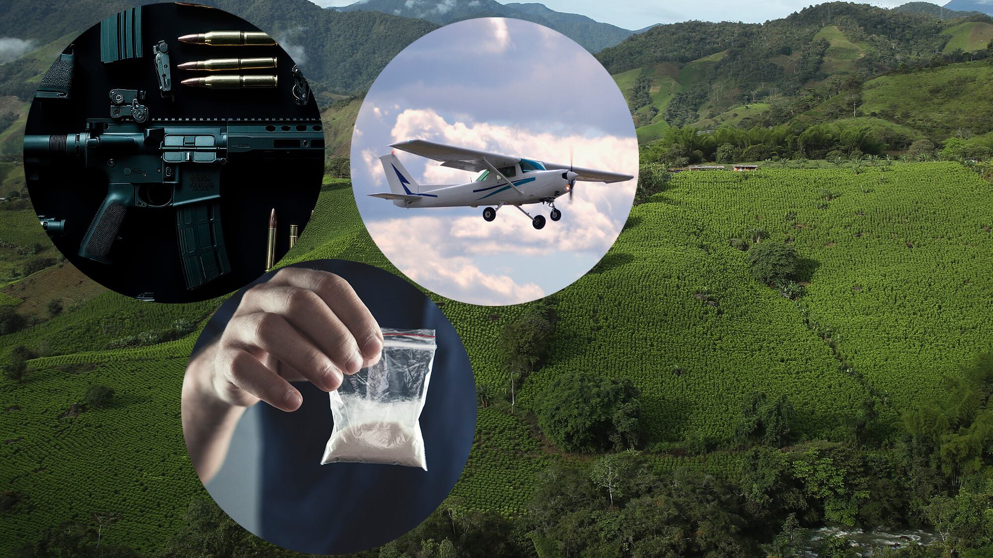 Cultivo Coca, avioneta, cocaína y armas