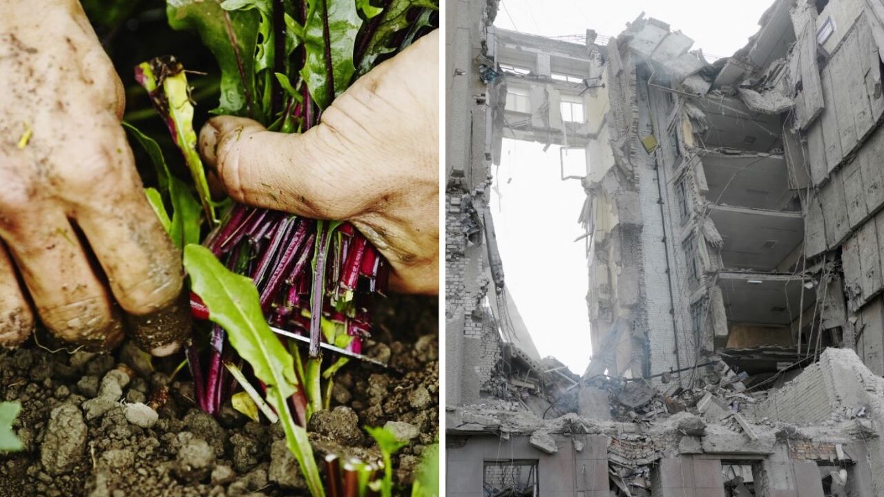 La guerra en Ucrania ha desencadenado varias consecuencias, con apenas un mes de haberse iniciado, una de ellas el encarecimiento de alimentos