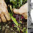 La guerra en Ucrania ha desencadenado varias consecuencias, con apenas un mes de haberse iniciado, una de ellas el encarecimiento de alimentos
