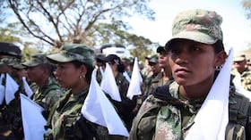 Solo en lo que va corrido del 2017, 1424 excombatientes se han reintegrado voluntariamente a la vida civil