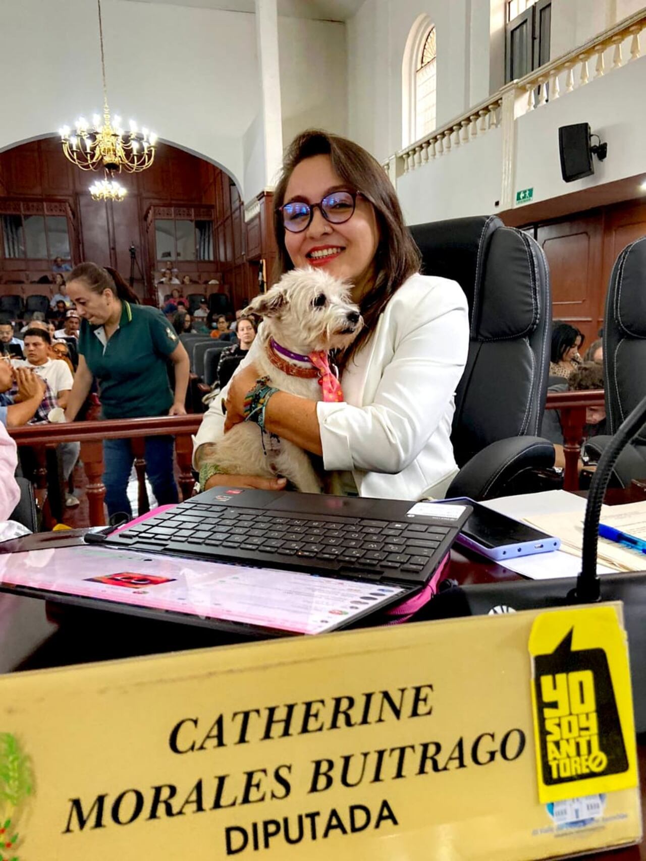 Política Pública de Protección y Bienestar Animal fue aprobada en el Valle del Cauca.