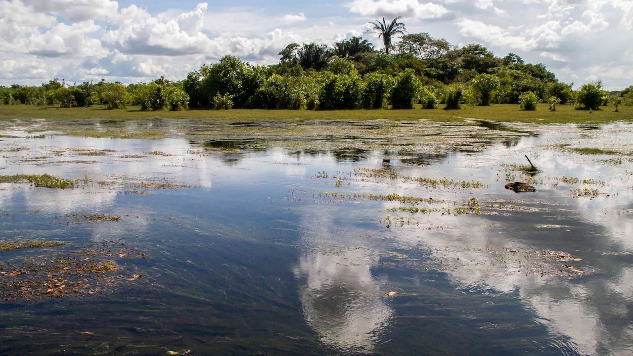 Las sabanas inundables de Cinaruco están conformadas por 331.848 hectáreas. Foto: Rodrigo Bahamón/Parques Nacionales Naturales