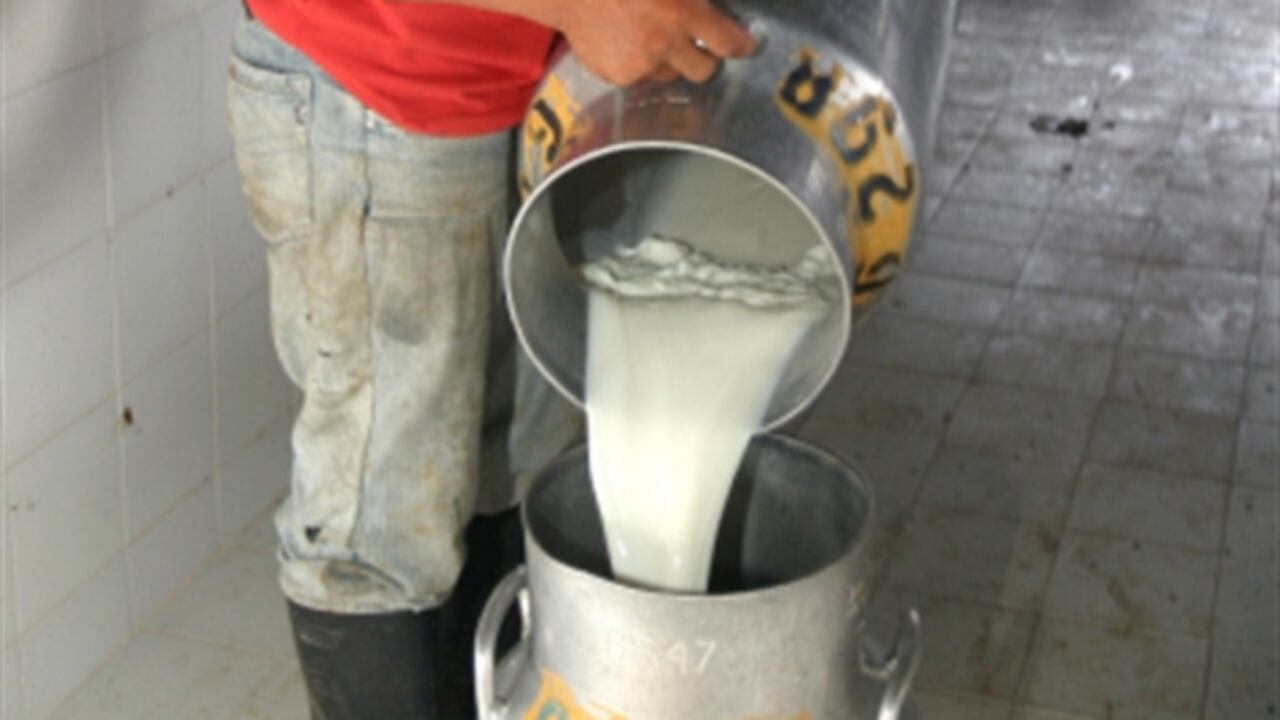 El precio promedio pagado al lechero por cada litro cayó en $126.